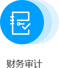 财务审计